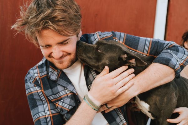 adopting a shelter dog, dog adoption, dogs