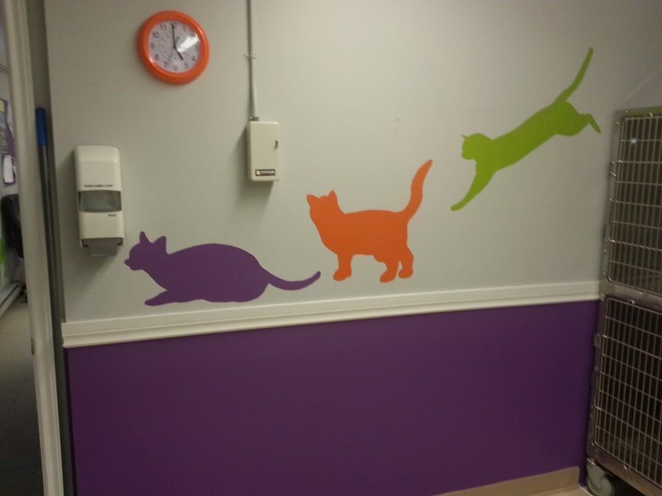 Cat decals on shelter wall