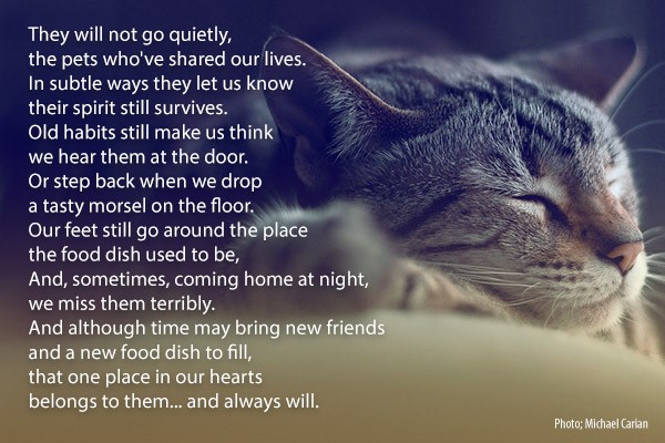 world pet memorial day, poem